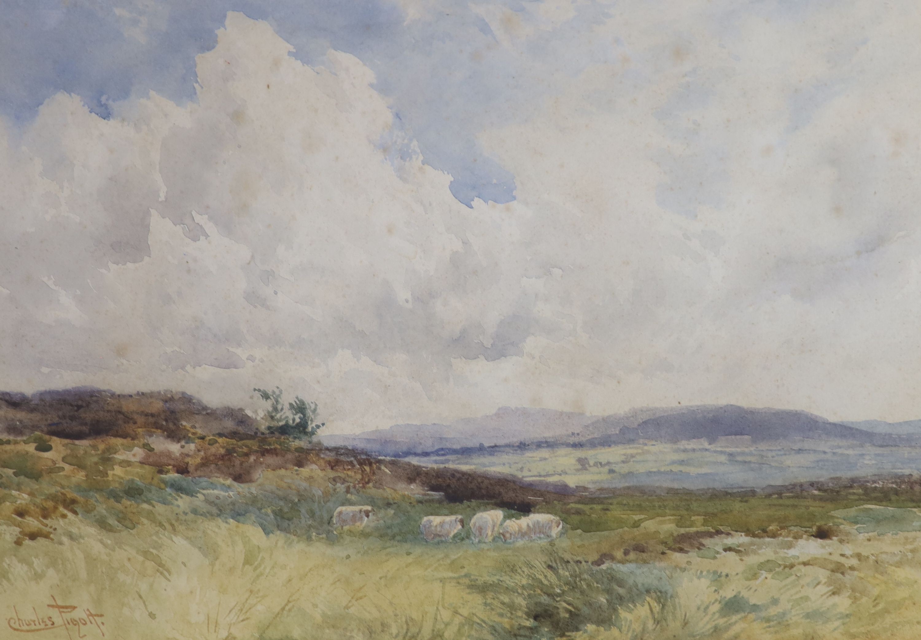 Charles Piggot (Exh. 1888-1898), watercolour, Sheep in a landscape, signed, 25 x 35cm